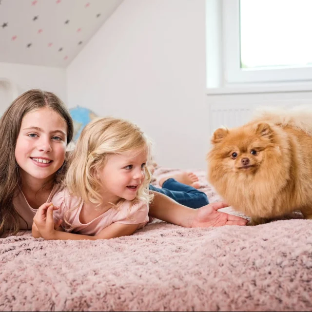 Dnes slavíme Světový den zvířat! 🐾
Milujeme je, i když nám občas dělají z domácnosti jedno velké chlupaté království.
Jakého parťáka máte doma vy? 👇 Okomentujte tento příspěvek emotikonem, který dokonale vystihuje vašeho mazlíčka! 🐕🐈

#vivenso #vodnivysavac #worldanimalday #domacimazlicek #clenrodiny