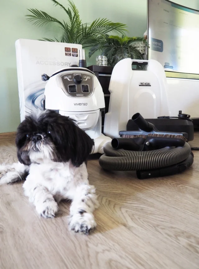 Máte doma psa nebo kočku? 😁🐾 Napište nám do komentáře 👇 která varianta u vás vítězí! 😆 A nebo B?

A) Ano, mám psa. Respektive pes má dům a mě jako svého osobního komorníka.
B) Oficiálně ne. Neoficiálně u nás žije kočka, která mi milostivě dovoluje spát v její posteli a občas si půjčit její gauč.

#vivenso #vodnivysavac #rodina #domacimazlicek #clenrodiny